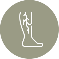 Veins icons created by Freepik - Flaticon